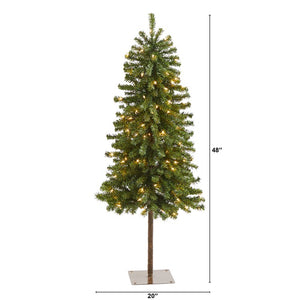 T1843 Holiday/Christmas/Christmas Trees