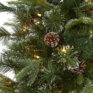 T1998 Holiday/Christmas/Christmas Trees