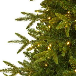 T1688 Holiday/Christmas/Christmas Trees