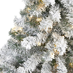 T1750 Holiday/Christmas/Christmas Trees