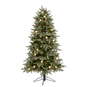T1440 Holiday/Christmas/Christmas Trees