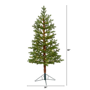 T1471 Holiday/Christmas/Christmas Trees