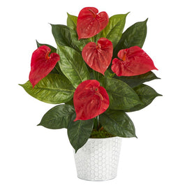 23" Anthurium Artificial Plant in Embossed White Planter