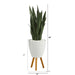 T1285 Decor/Faux Florals/Plants & Trees