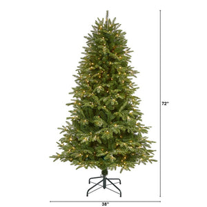 T1968 Holiday/Christmas/Christmas Trees