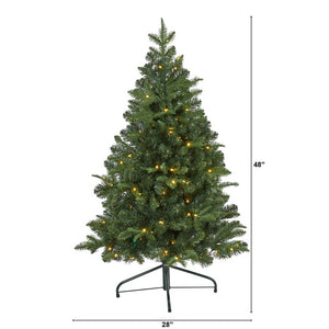 T1999 Holiday/Christmas/Christmas Trees