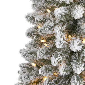 T1906 Holiday/Christmas/Christmas Trees