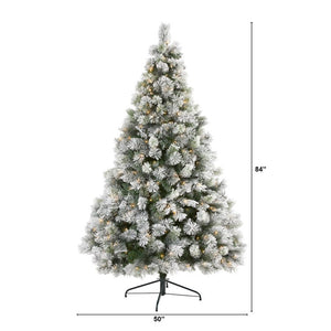 T1937 Holiday/Christmas/Christmas Trees