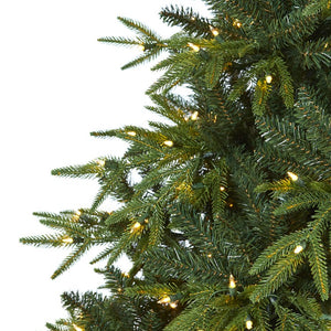 T1689 Holiday/Christmas/Christmas Trees