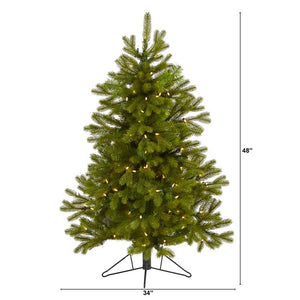 T1565 Holiday/Christmas/Christmas Trees