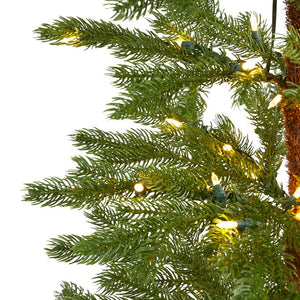 T1472 Holiday/Christmas/Christmas Trees