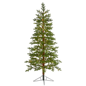 6.5' Fairbanks Fir Artificial Christmas Tree with 250 Clear Warm (Multifunction LED Lights and 208 Bendable Branches
