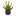 9" Flowering Sedum Succulent Artificial Plant in Black Planter