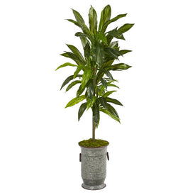 4' Dracaena Artificial Plant in Vintage Metal Planter (Real Touch