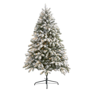 T1876 Holiday/Christmas/Christmas Trees
