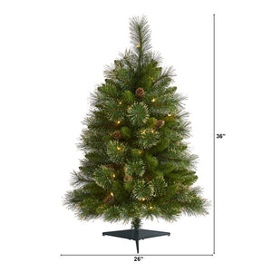 T1969 Holiday/Christmas/Christmas Trees