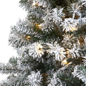 T1752 Holiday/Christmas/Christmas Trees