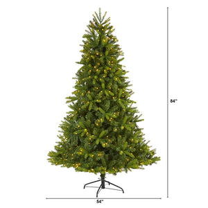 T1659 Holiday/Christmas/Christmas Trees