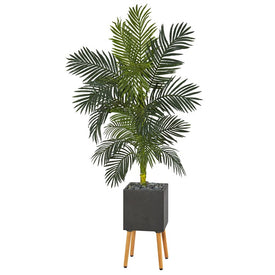 6' Golden Cane Artificial Palm Tree in Black Planter with Stand