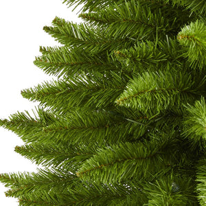 T1442 Holiday/Christmas/Christmas Trees