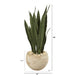 T1287 Decor/Faux Florals/Plants & Trees