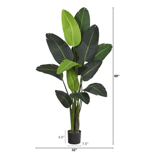 T1008 Decor/Faux Florals/Plants & Trees