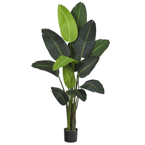 T1008 Decor/Faux Florals/Plants & Trees