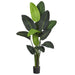 T1008 Decor/Faux Florals/Plants & Trees