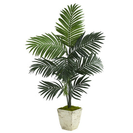 57" Kentia Artificial Palm Tree in Country White Planter