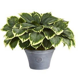 23" Variegated Hosta Artificial Plant in Gray Planter