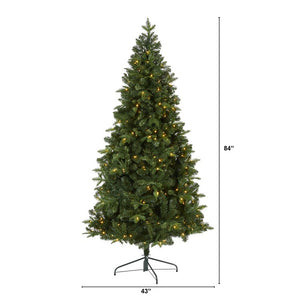 T2001 Holiday/Christmas/Christmas Trees