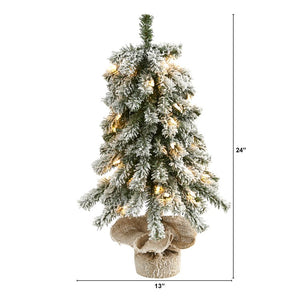 T1846 Holiday/Christmas/Christmas Trees