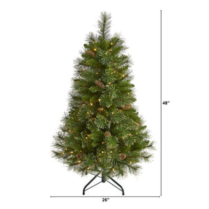 T1970 Holiday/Christmas/Christmas Trees