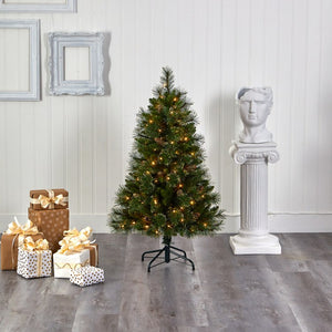 T1970 Holiday/Christmas/Christmas Trees