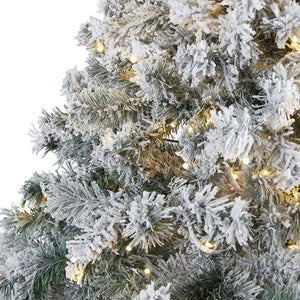 T1753 Holiday/Christmas/Christmas Trees