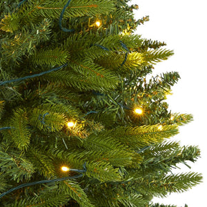 T1784 Holiday/Christmas/Christmas Trees