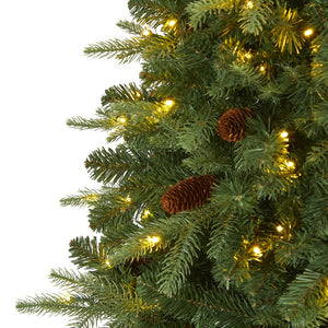 T1660 Holiday/Christmas/Christmas Trees