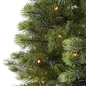 T1443 Holiday/Christmas/Christmas Trees