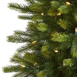 T1474 Holiday/Christmas/Christmas Trees
