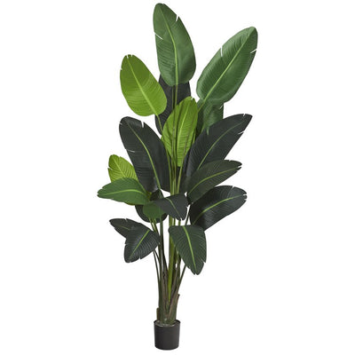 Product Image: T1009 Decor/Faux Florals/Plants & Trees