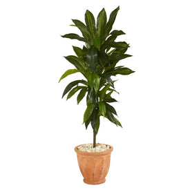 4' Dracaena Artificial Plant in Terra-Cotta Planter (Real Touch