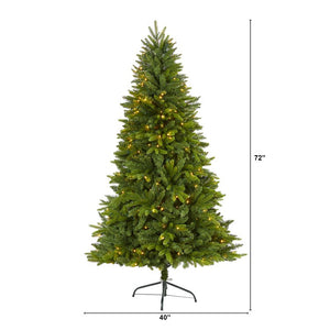 T1785 Holiday/Christmas/Christmas Trees