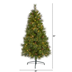 T1971 Holiday/Christmas/Christmas Trees