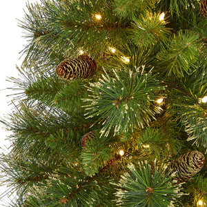 T1971 Holiday/Christmas/Christmas Trees