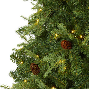 T1661 Holiday/Christmas/Christmas Trees