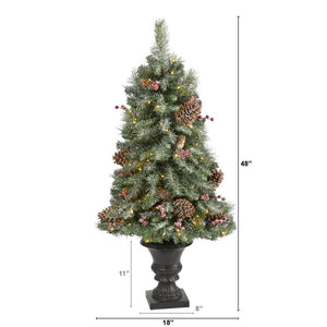 T1692 Holiday/Christmas/Christmas Trees