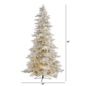 T1568 Holiday/Christmas/Christmas Trees