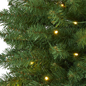 T1599 Holiday/Christmas/Christmas Trees