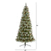 T1630 Holiday/Christmas/Christmas Trees