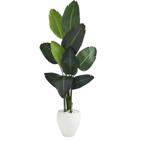 63" Traveler's Palm Artificial tree in White Planter